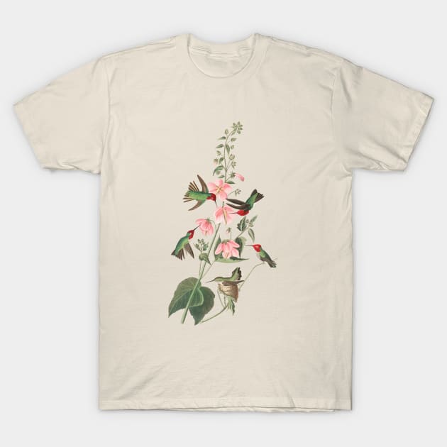 John James Audubon Columbian Humming Bird T-Shirt by Dystopianpalace